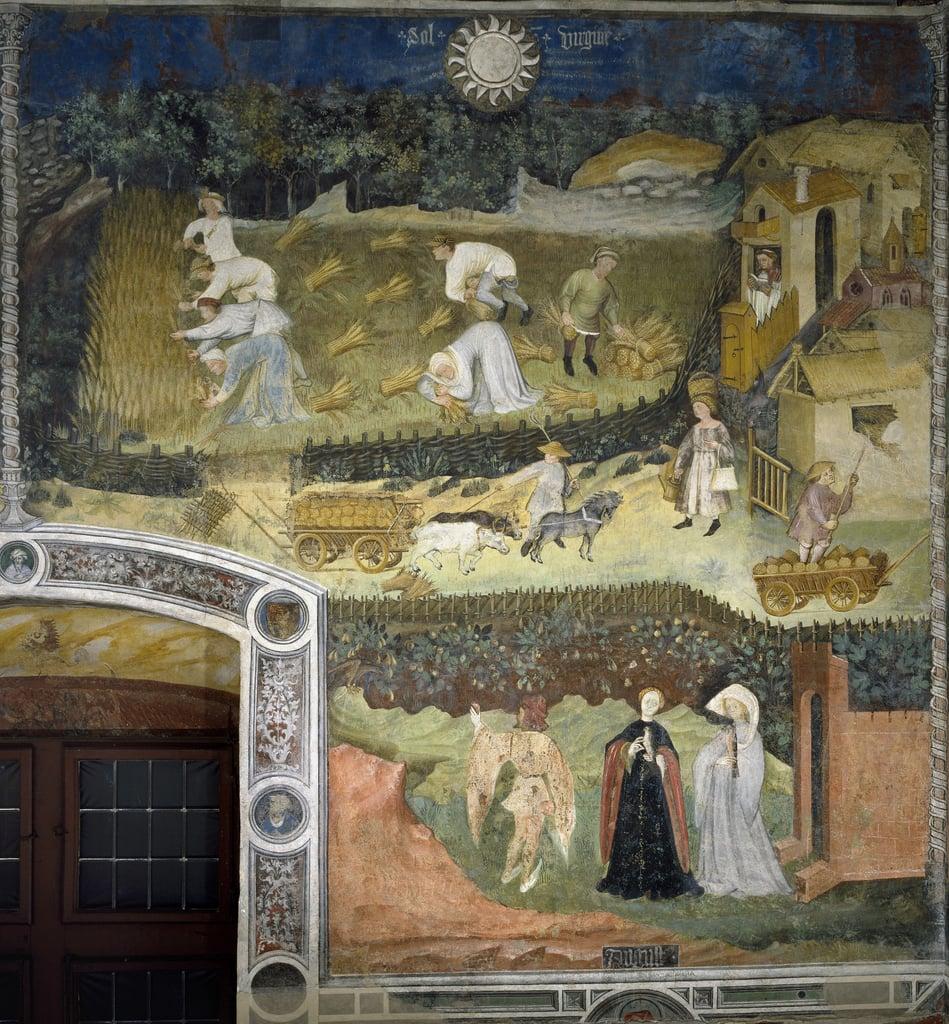 August: Harvest in a wheat field. The wheat is harvested, bales and transports in carts. A monk read