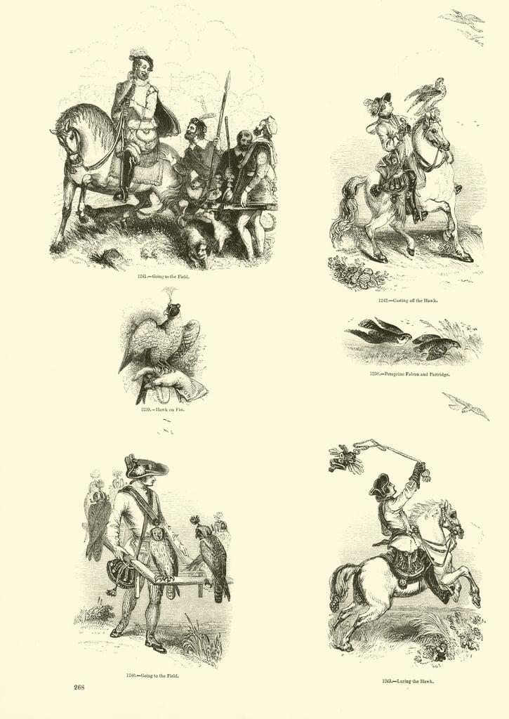 Page from The Pictorial Museum of Animated Nature 